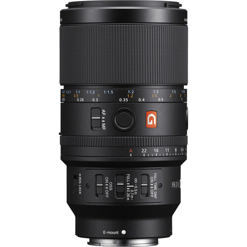 Sony FE 100mm F2.8 Macro GM OSS | Full-Frame Macro Lens - Image 5