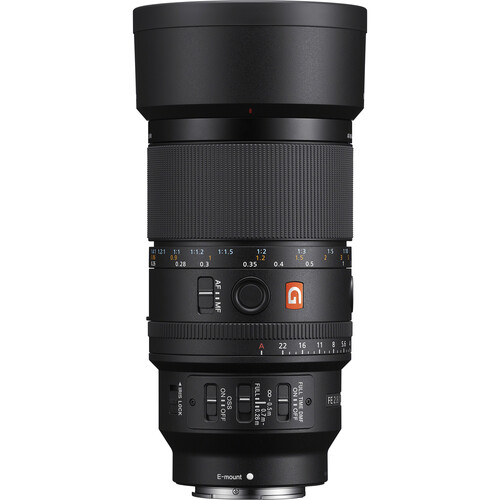 Sony FE 100mm F2.8 Macro GM OSS | Full-Frame Macro Lens - Image 6